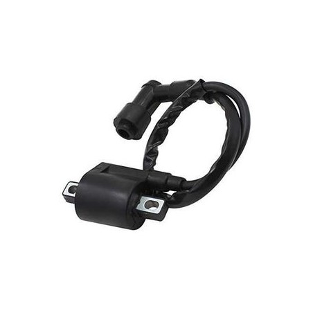 Bobina inductie scuter Aprilia 49cc 50cc 80cc