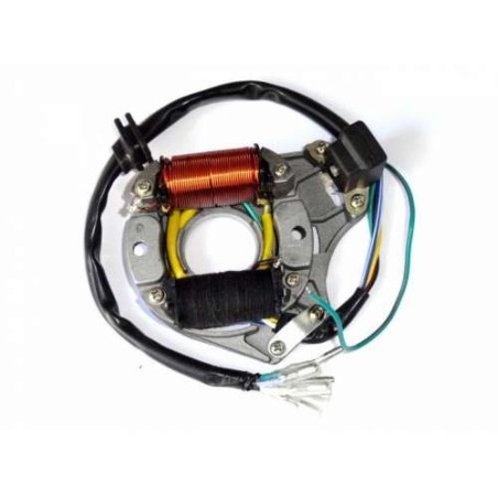 Magnetou Stator ATV 70cc - 80cc - 107cc - 110cc 125cc Loncin