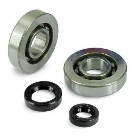 Rulmenti Ambielaj Scuter Peugeot