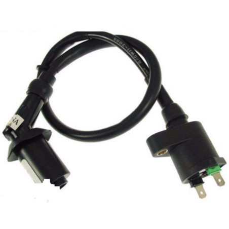 Bobina Inductie Scuter Gy6 4T - 4Timpi 4 Timpi 49cc - 80cc - 125cc