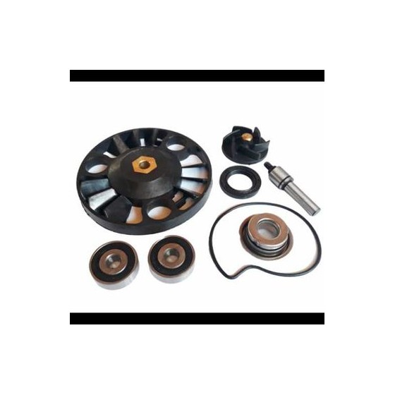 Pompa Apa Scuter Piaggio...